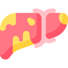Fatty Liver Disease