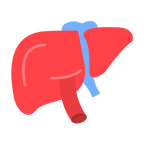 Liver Cancer