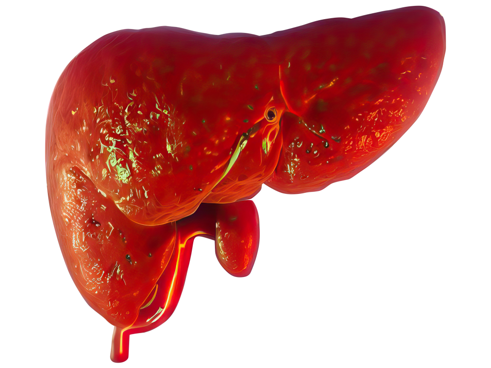 Diagnosis of Fatty Liver Disease