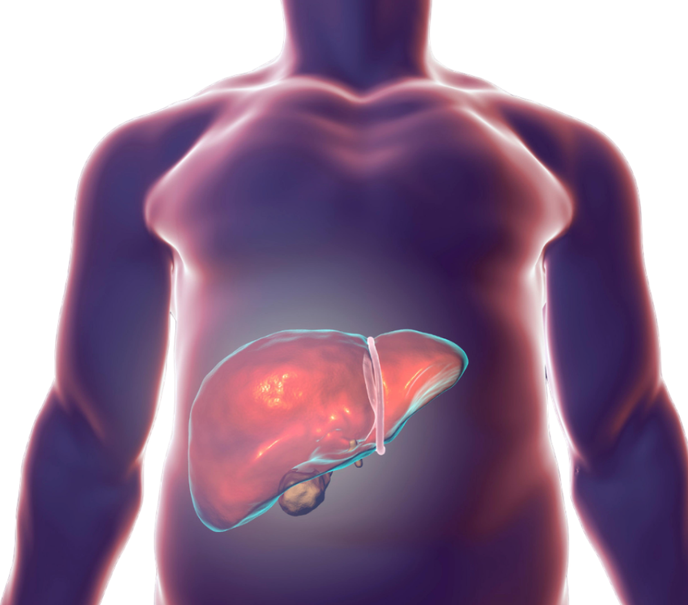 Causes of Liver Cancer