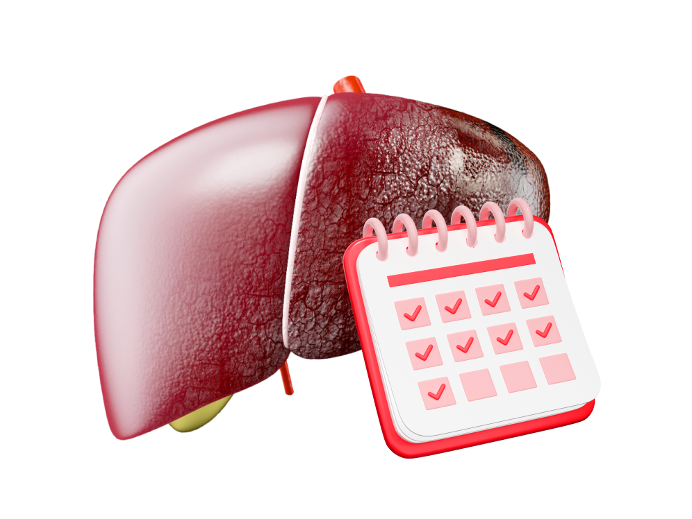 Life Expectancy After Liver Cancer