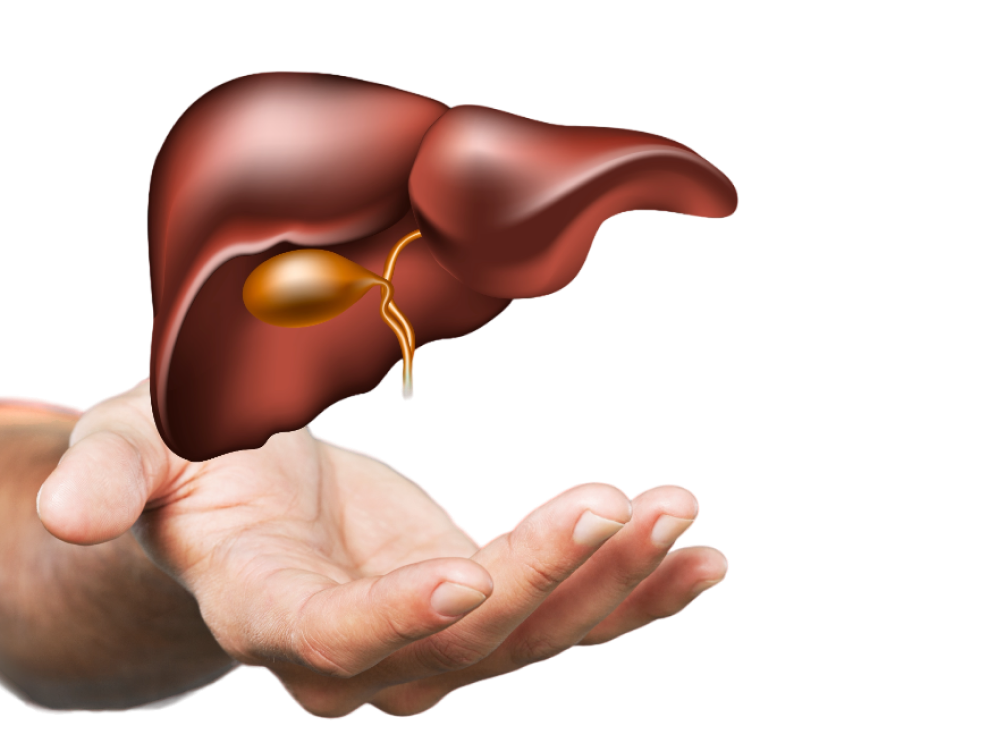 Diagnosis of Jaundice