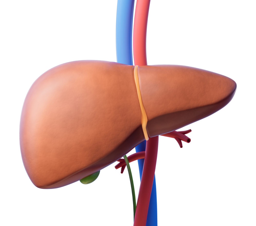 Non-Alcoholic Steatohepatitis Treatment Overview