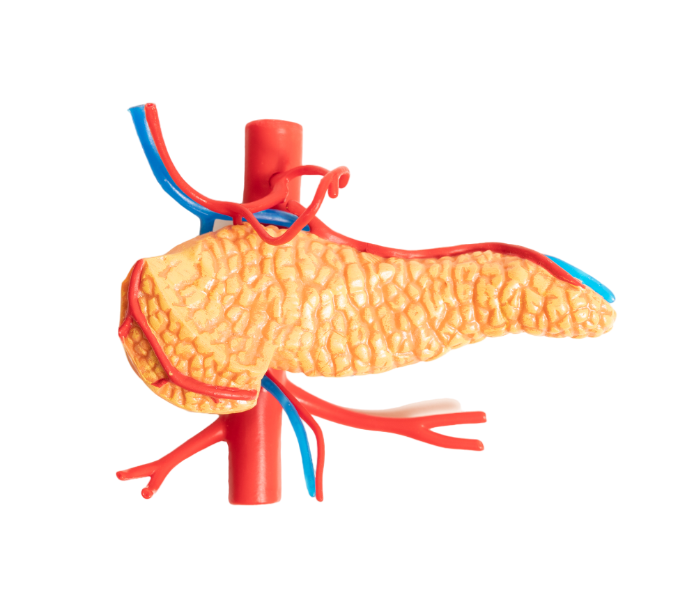 Hepato-Pancreato-Biliary HPB Surgery