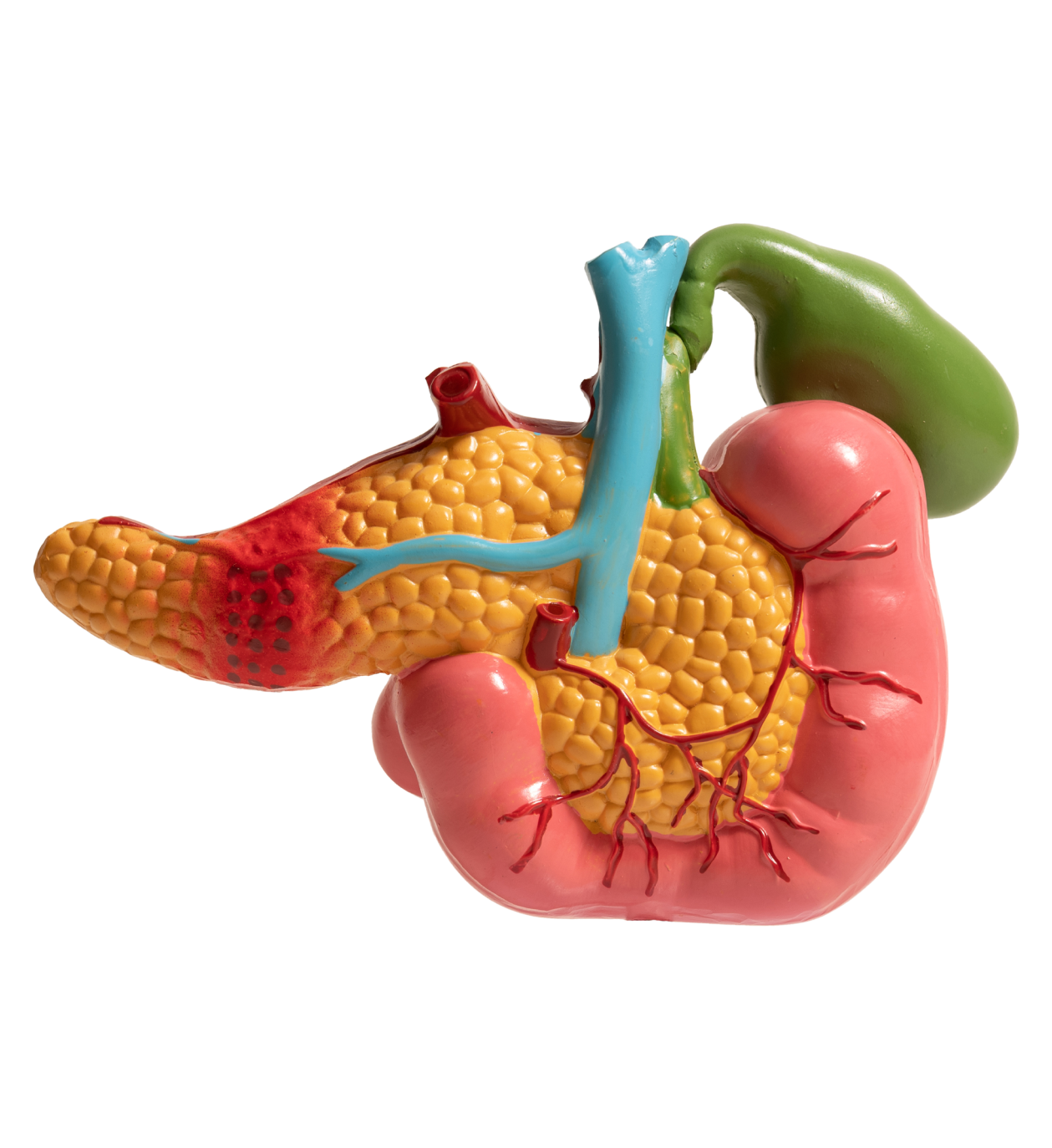 What is Hepato-Pancreato-Biliary HPB Surgery