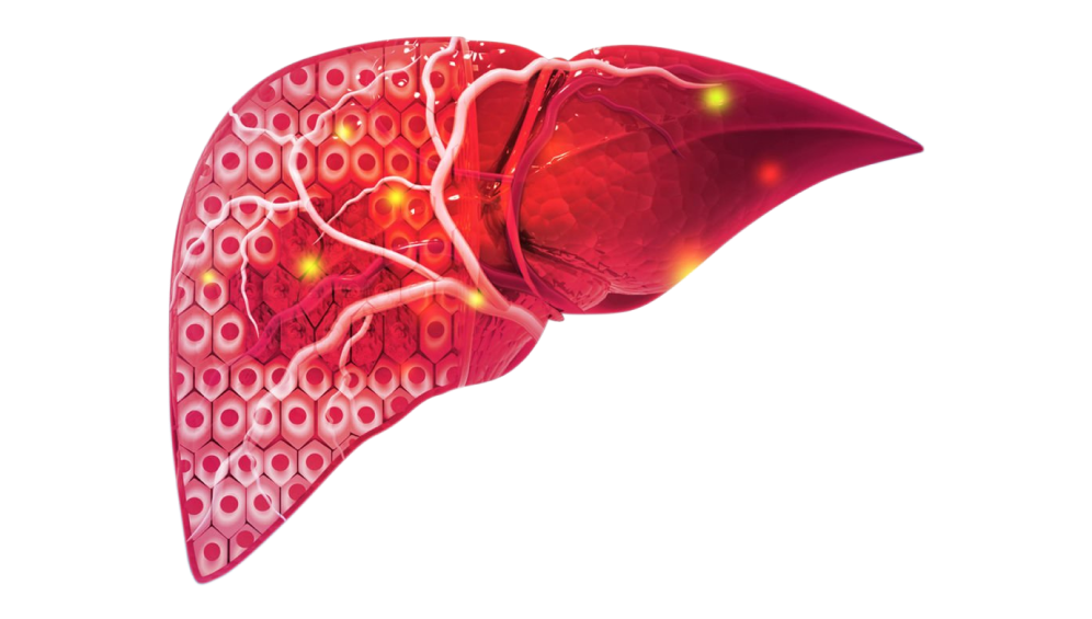 Purpose of Hepato-Pancreato-Biliary HPB Surgery