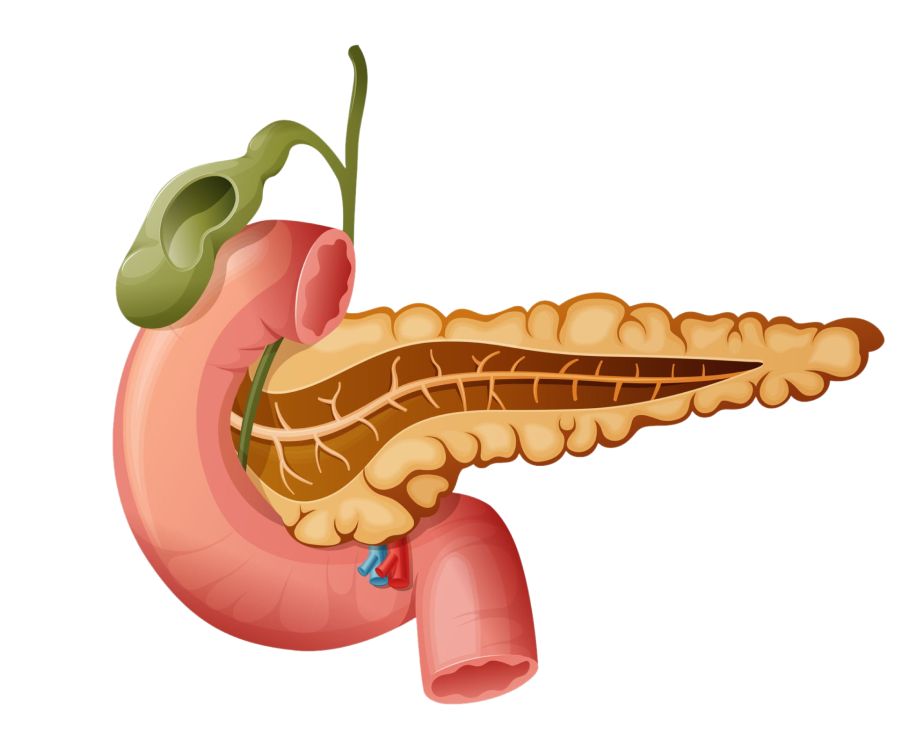 Complications of HPB Surgery