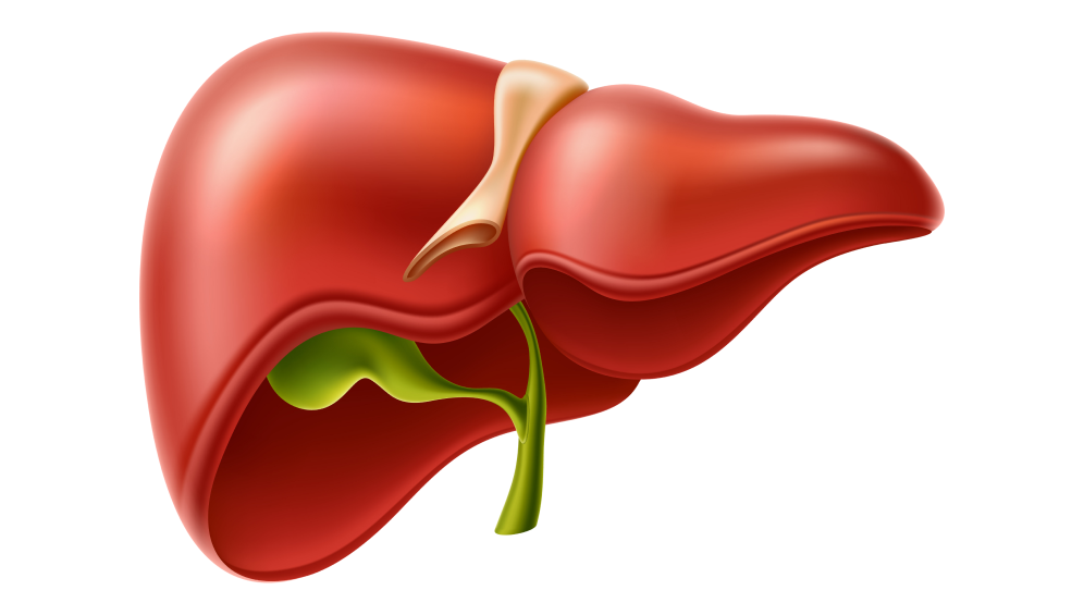 Types of Bile Duct Cancer Surgery