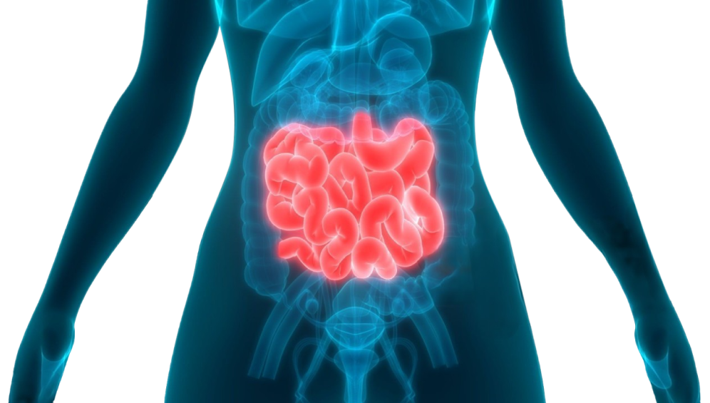 Purpose of Whipple Surgery