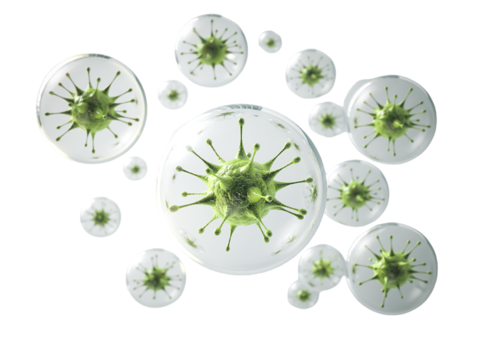 Complications of Whipple Surgery