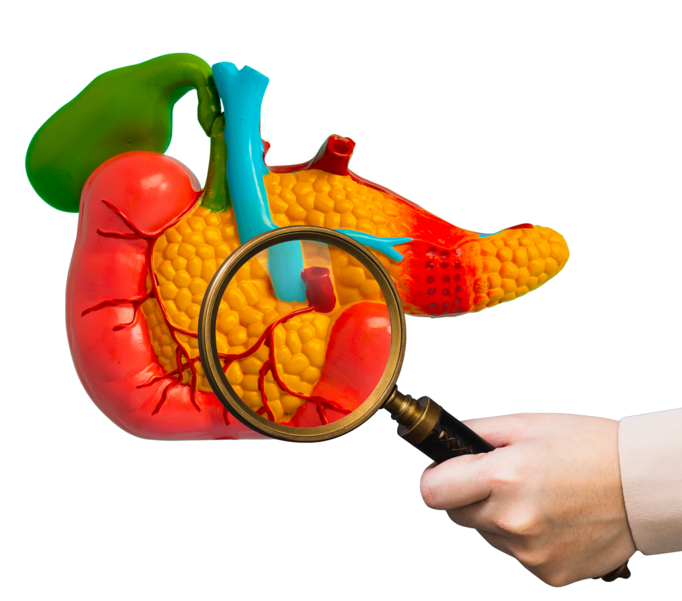 Procedure Details Of Pancreatic Surgery