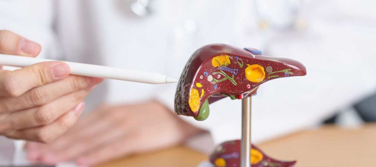 Breaking Down the Myths About Liver Transplants